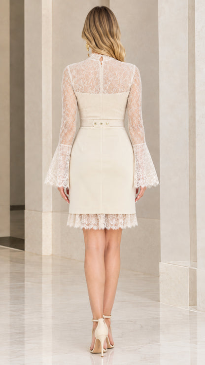 Cream lace long sleeve mini dress back view displaying illusion lace and fitted waist