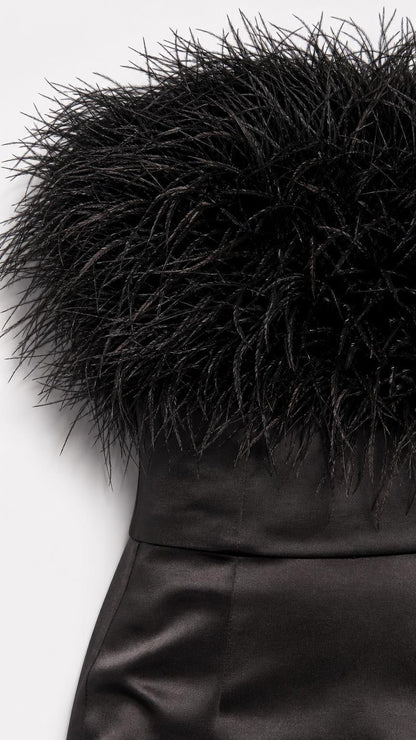 Close-up detail of black feather bodice and satin fabric