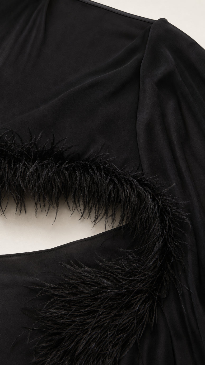 Close-up detail of delicate sheer fabric and plush black feather trim