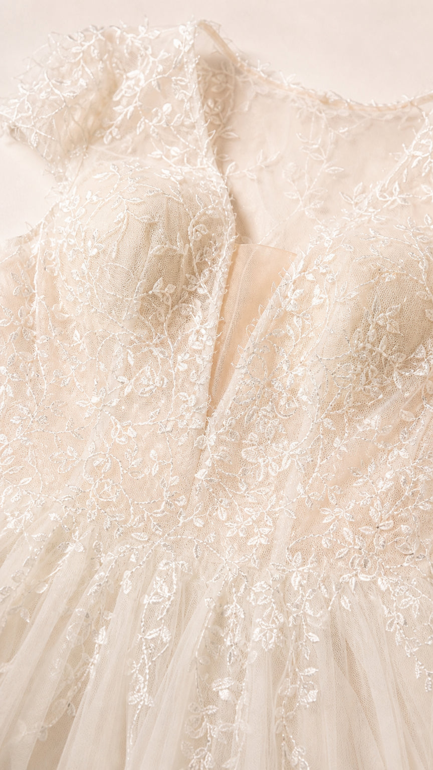 Close-up detail of bodice beading and V-neckline